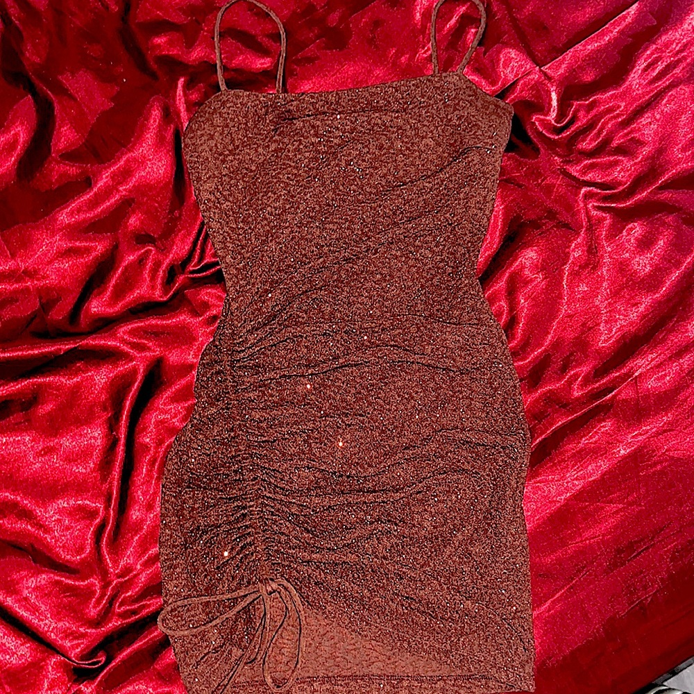 Windsor Runched Sparkly Dress